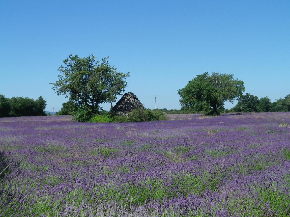 La Mordoree La Motte-d'Aigues Экстерьер фото