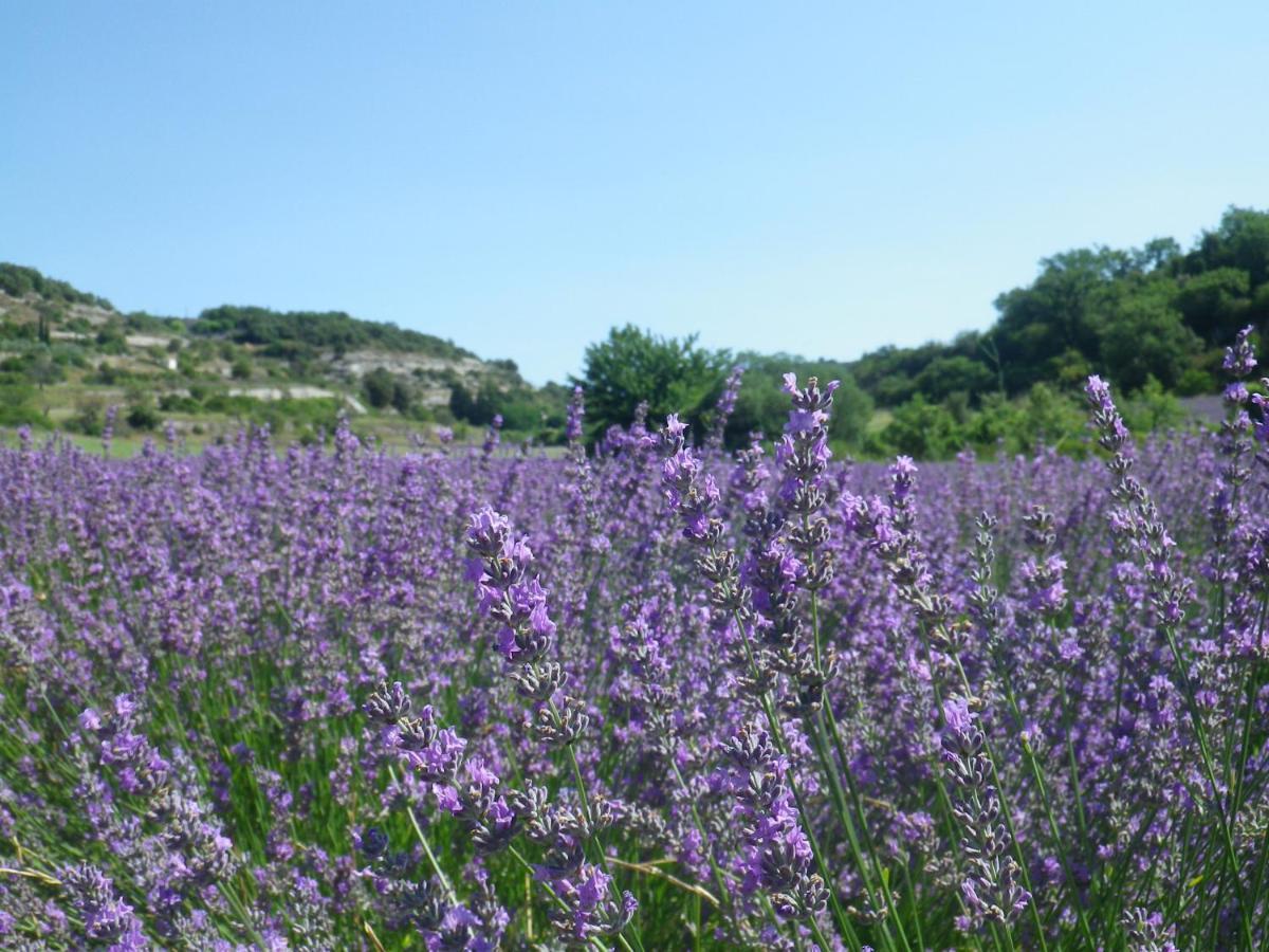 La Mordoree La Motte-d'Aigues Экстерьер фото