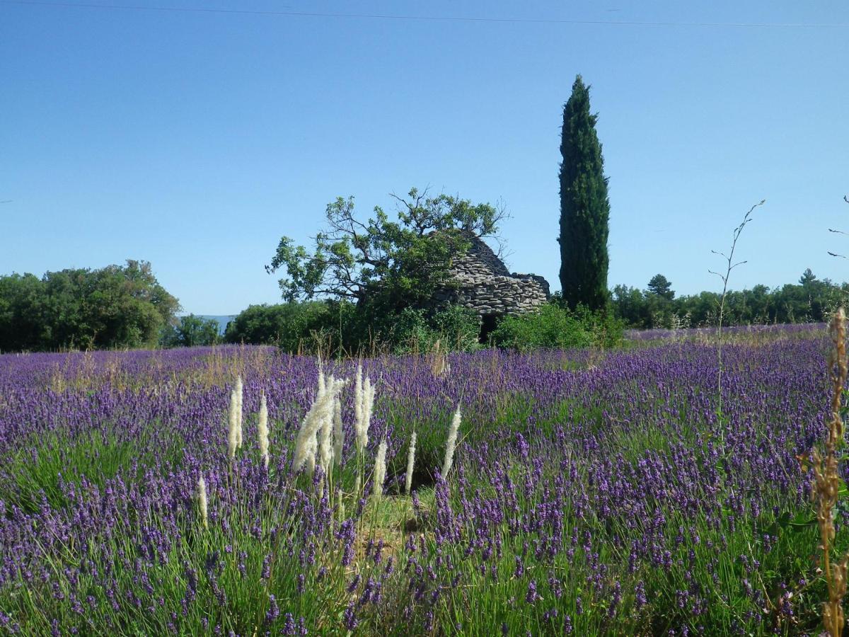 La Mordoree La Motte-d'Aigues Экстерьер фото