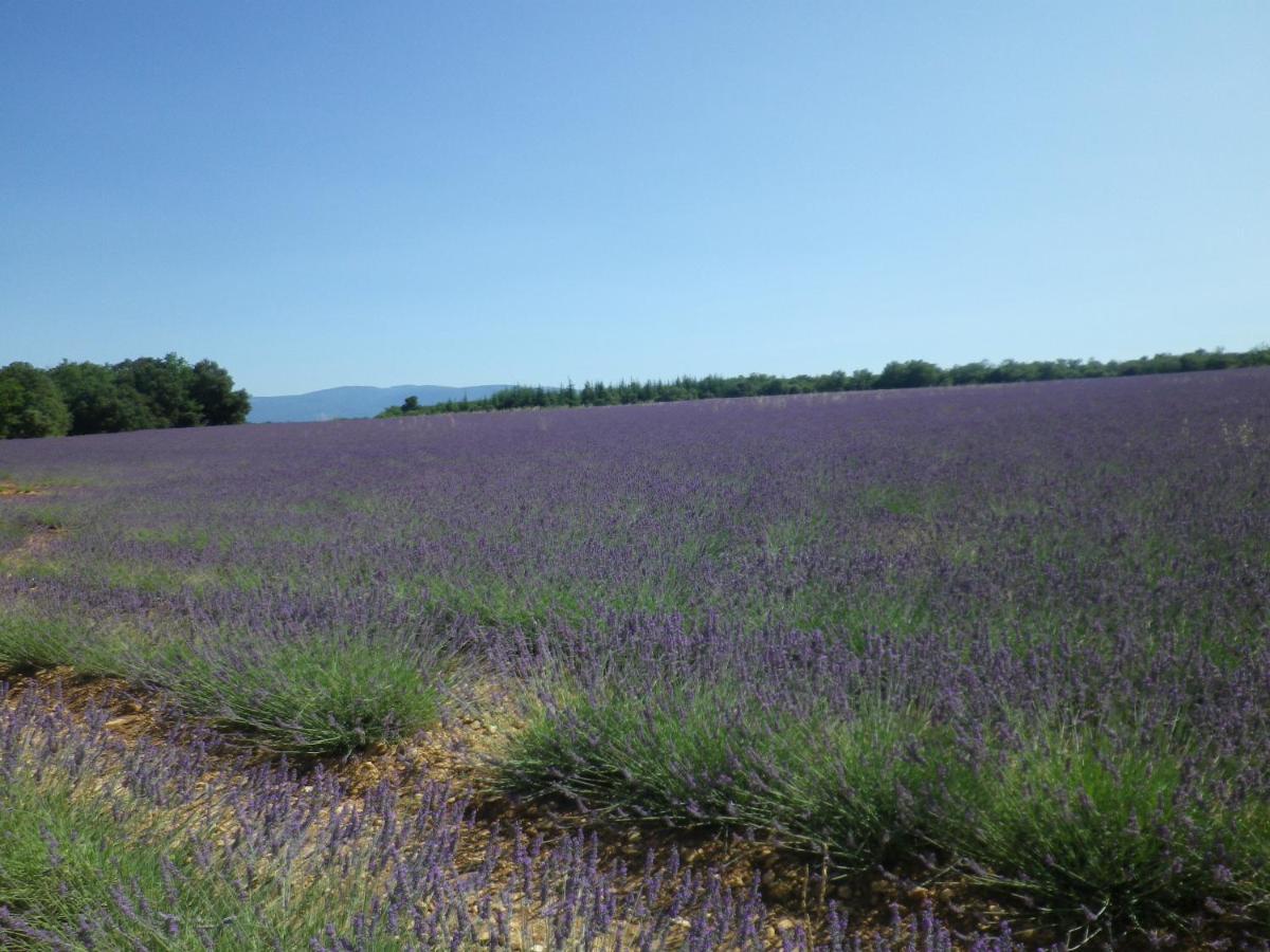 La Mordoree La Motte-d'Aigues Экстерьер фото