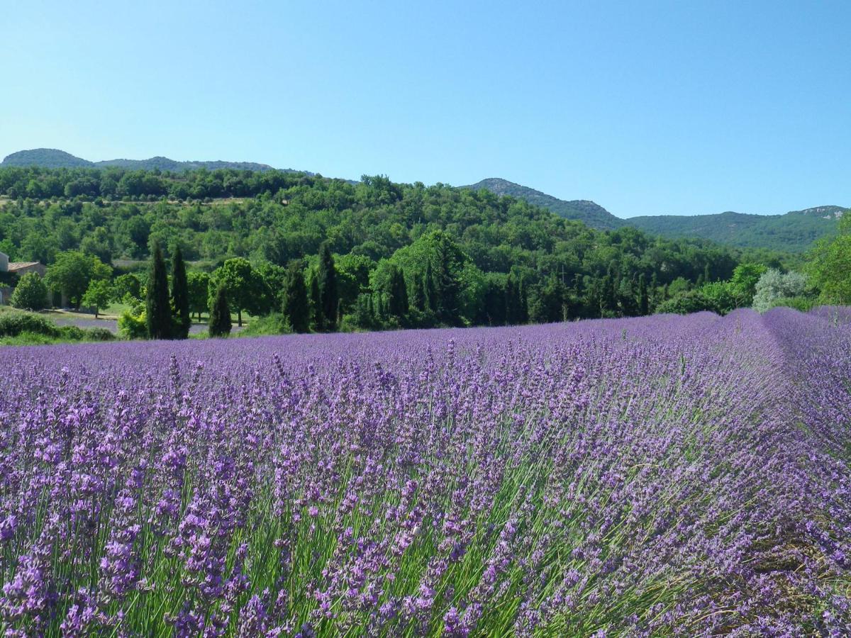 La Mordoree La Motte-d'Aigues Экстерьер фото