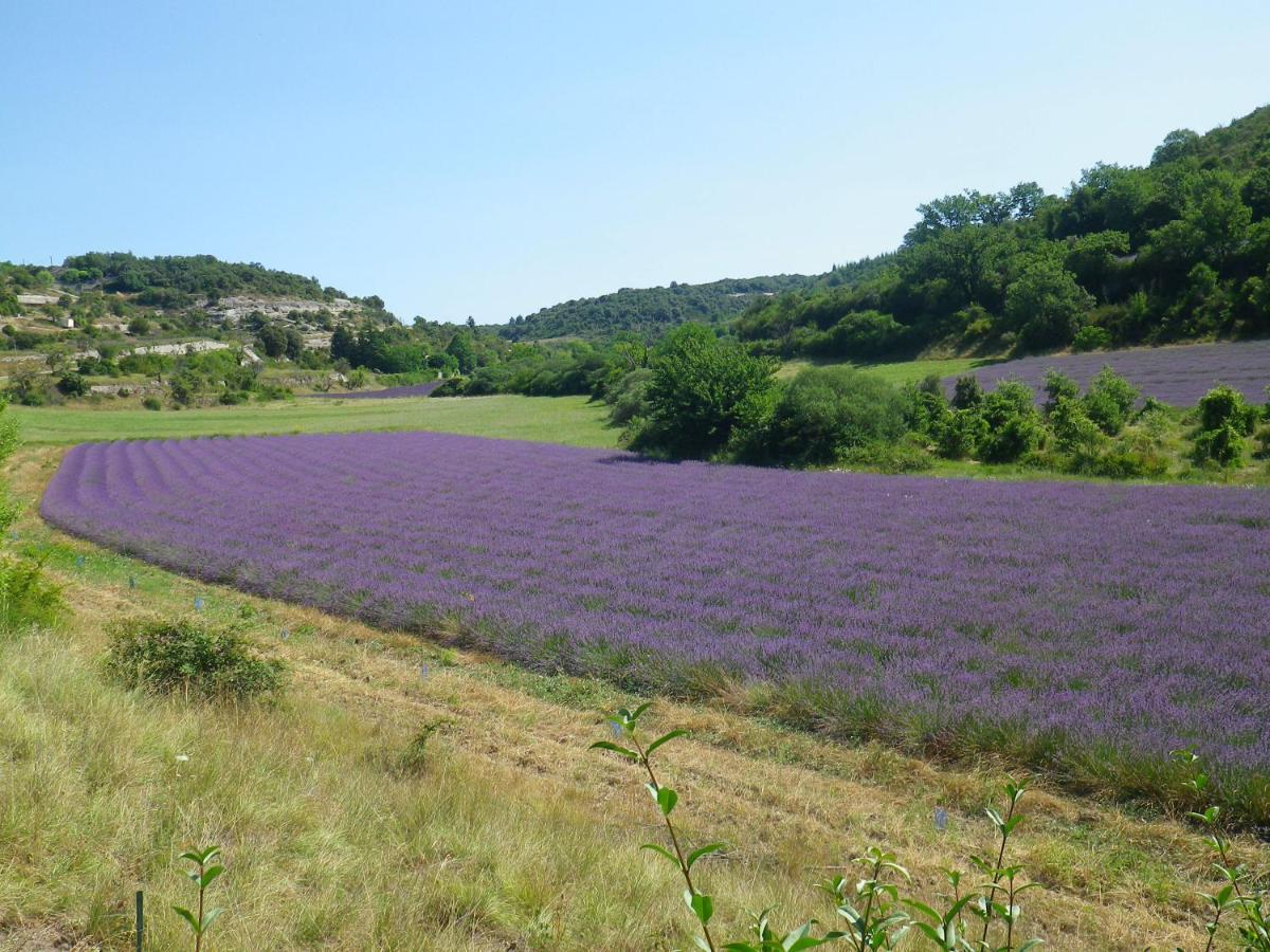La Mordoree La Motte-d'Aigues Экстерьер фото